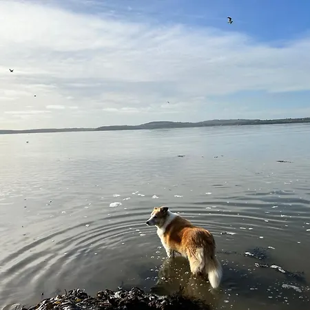 Tobernaglough Wexford Pet Friendly Country Casa de Campo Ramsgrange