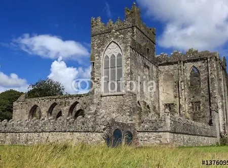 Tobernaglough Wexford Pet Friendly Country Ramsgrange