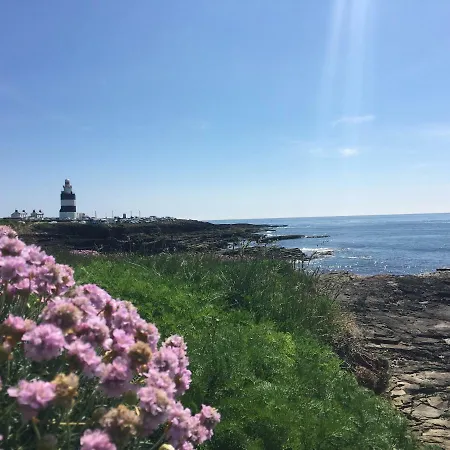 Tobernaglough Wexford Pet Friendly Country *