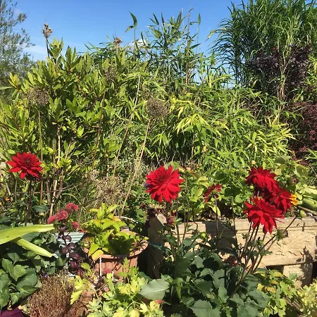 Tobernaglough Wexford Pet Friendly Country Country house