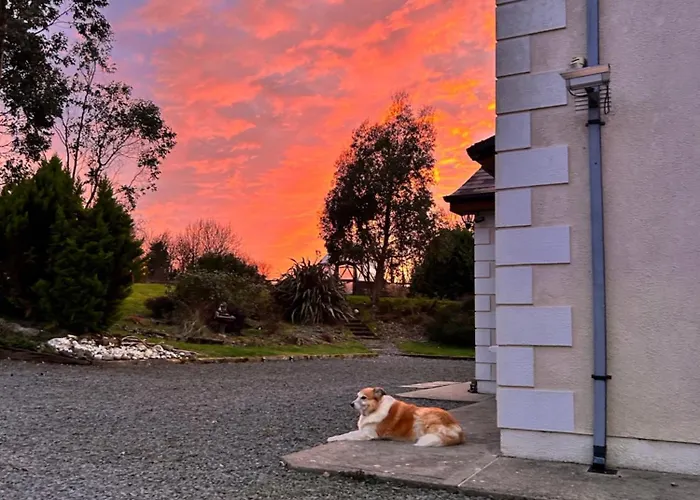 Εξοχικό σπίτι Tobernaglough Wexford Pet Friendly Country *