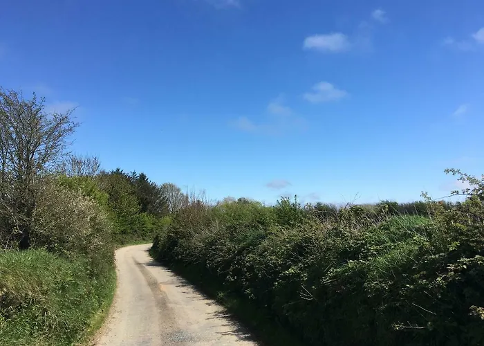 Tobernaglough Wexford Pet Friendly Country Landsted Ramsgrange