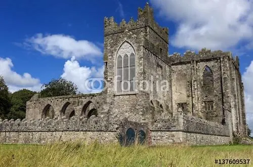 Tobernaglough Wexford Pet Friendly Country Ramsgrange