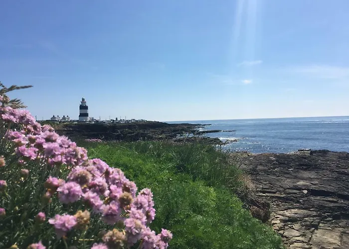 Tobernaglough Wexford Pet Friendly Country *