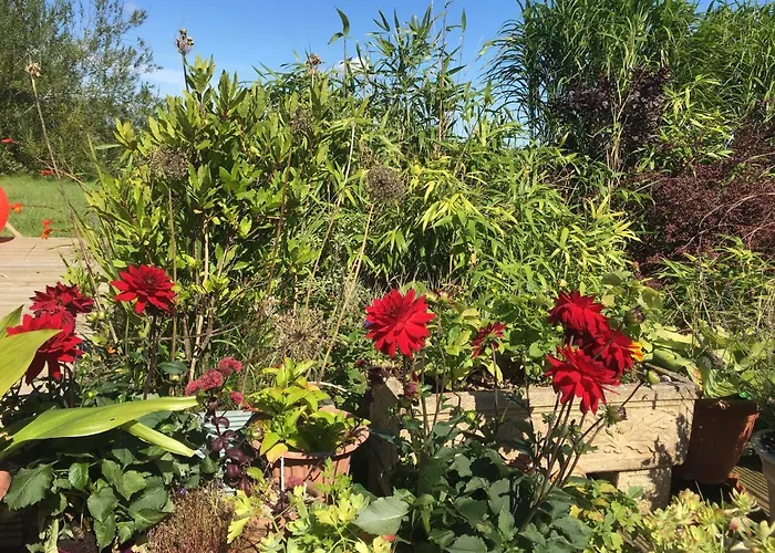 Tobernaglough Wexford Pet Friendly Country Εξοχικό σπίτι